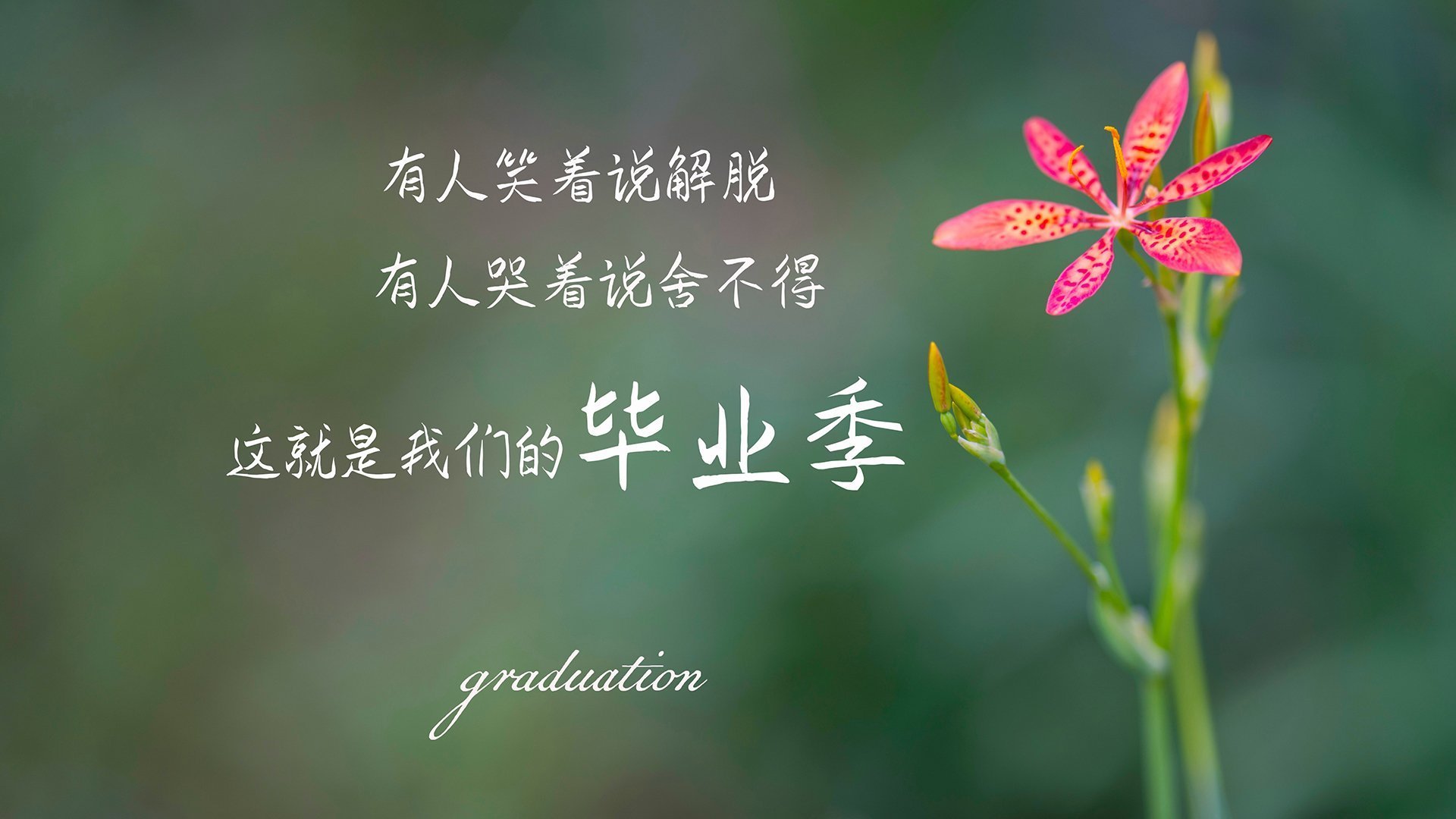 开云体育在线-2026世界杯，黑马崛起之战—瑞士大胜智利，迪亚斯与团队默契书写冷门传奇